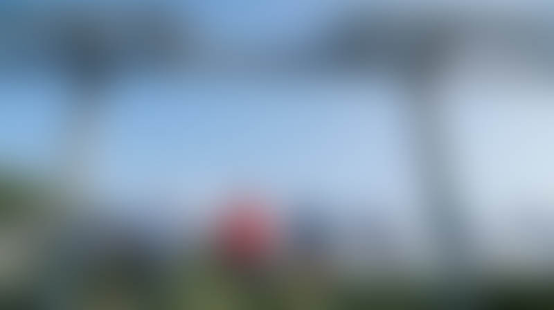 process_img_3_alt